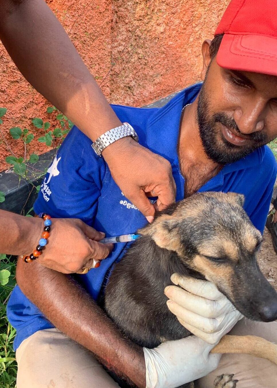Dogstar employee holding a dog while another employee administers a vaccine.