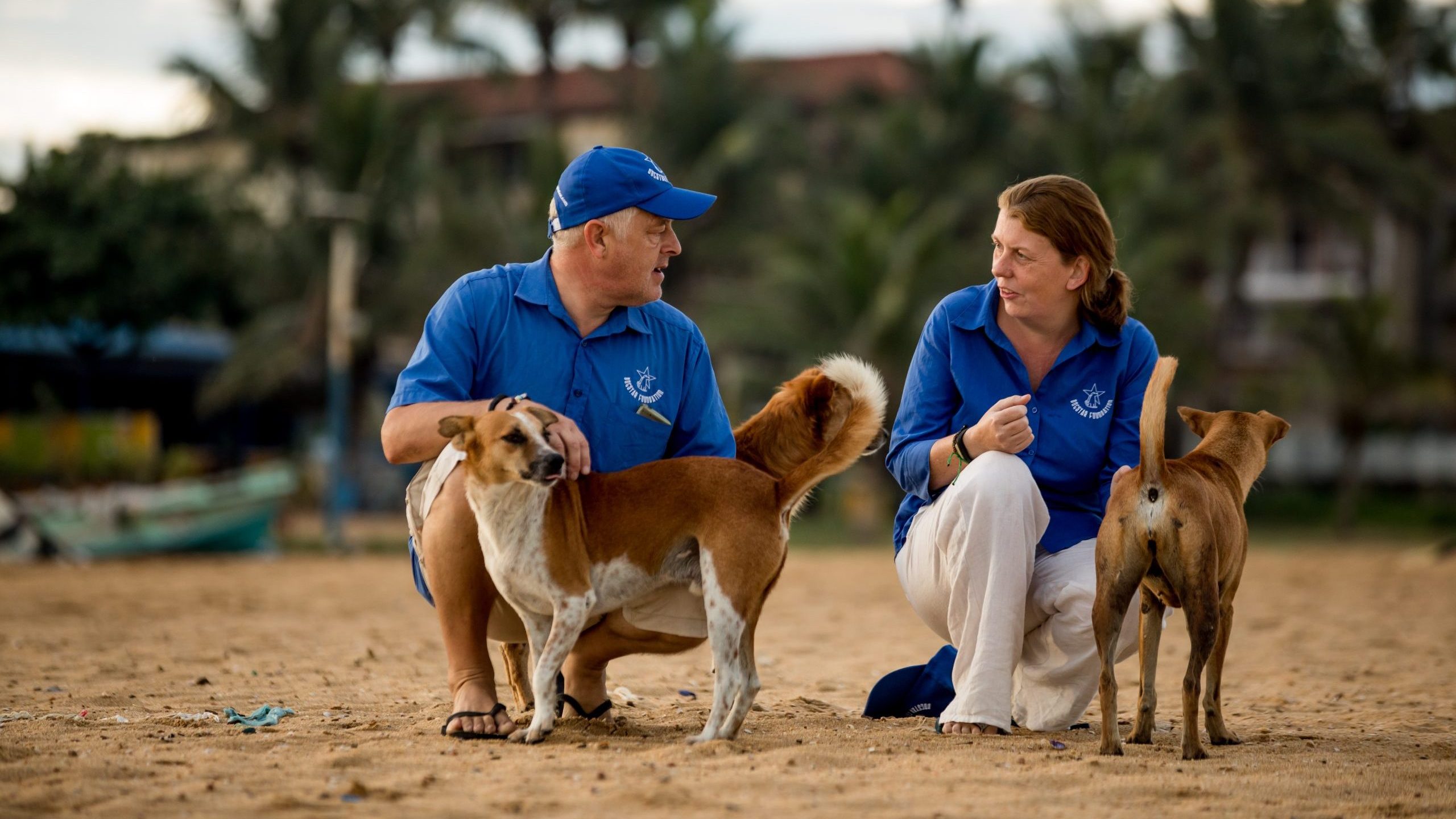 Dogstar's CEO and Deputy Director Sam and Mark kneeling down on the beach to tend to two street dogs.