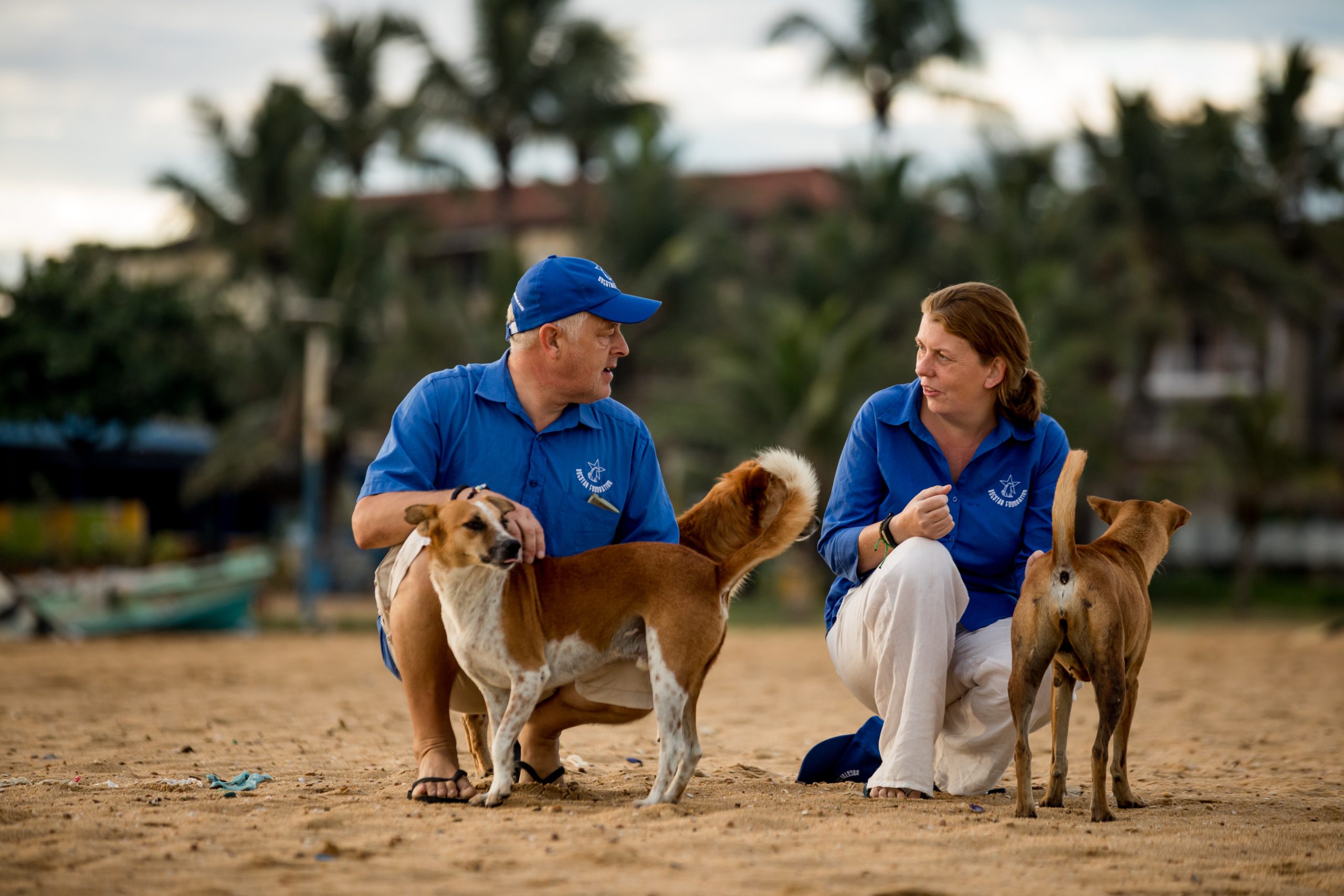 Dogstar's CEO and Deputy Director Sam and Mark kneeling down on the beach to tend to two street dogs.