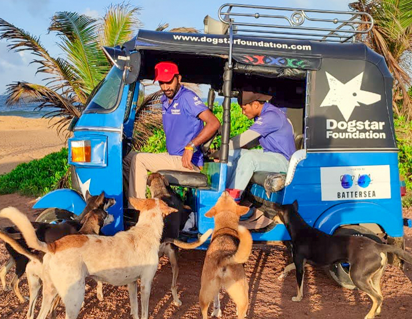 A group of dogs are crowded round a blue tuk-tuk looking up at the two Dogstar employees in the vehicle.