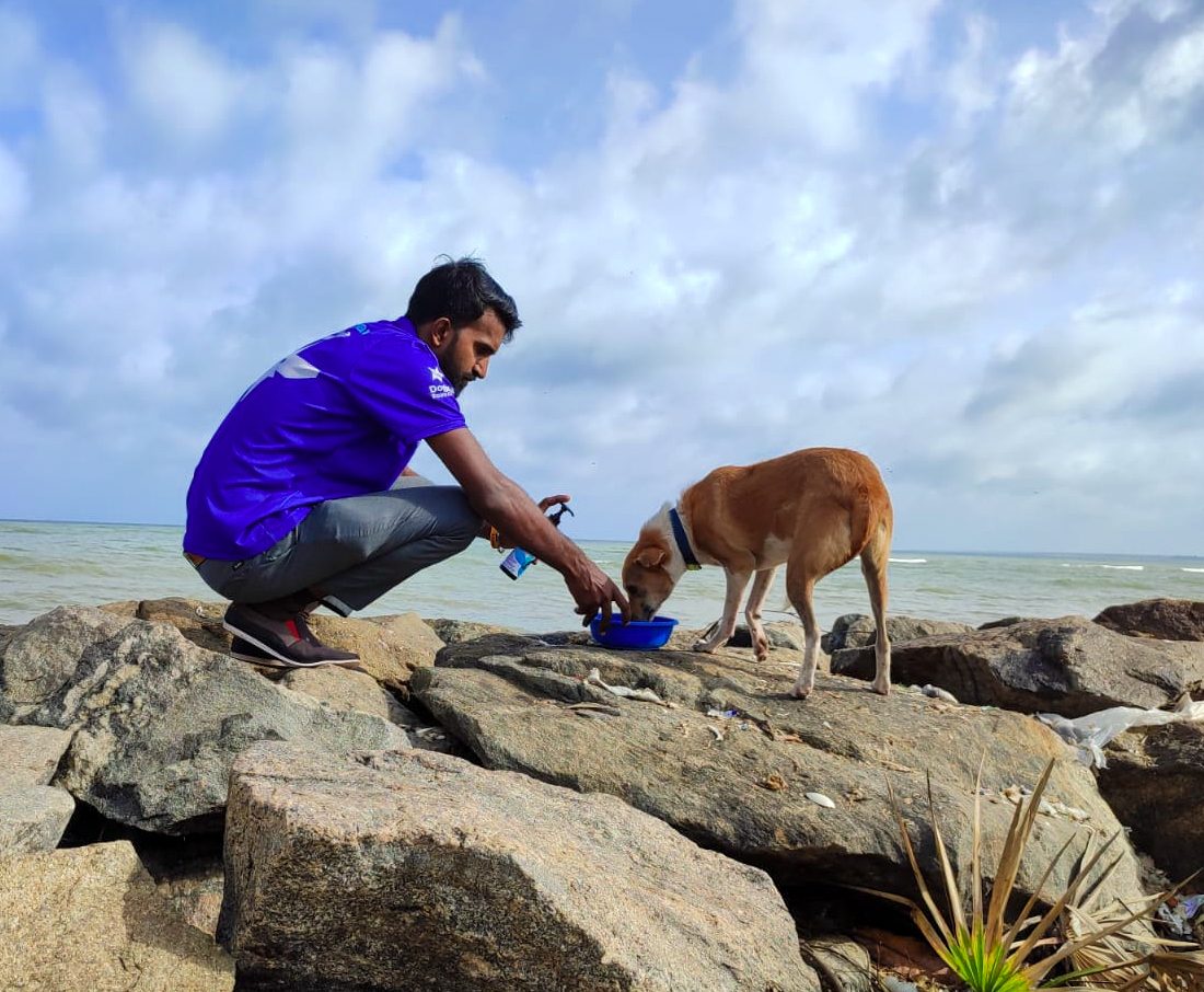 A Dogstar employee crouching down on some rocks by the sea to put down a bowl of food for a dog.