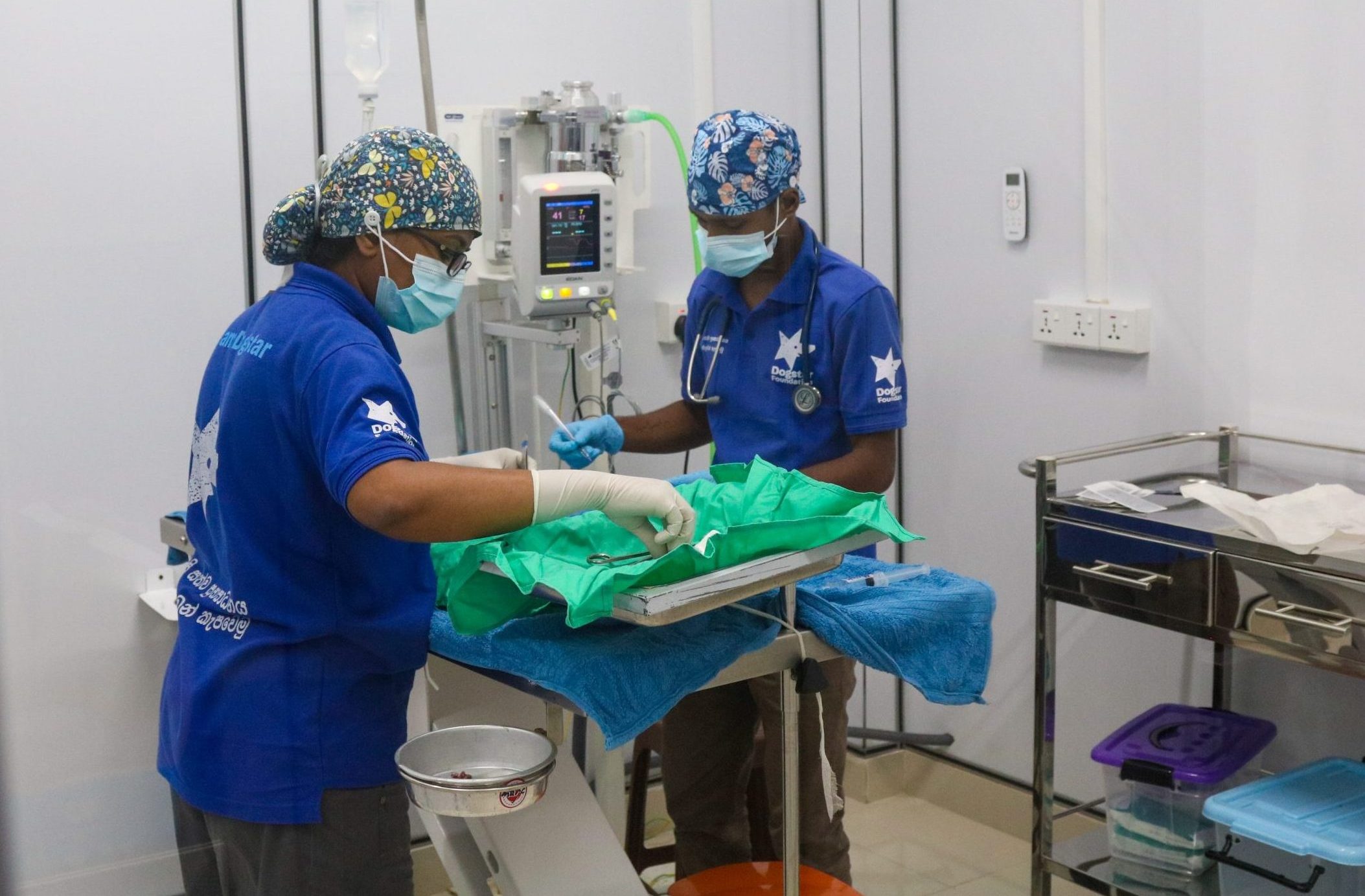 Two Dogstar vets performing sterilisation surgery in the Catstar cat clinic.