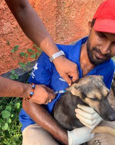 Dogstar employee holding a dog while another employee administers a vaccine.