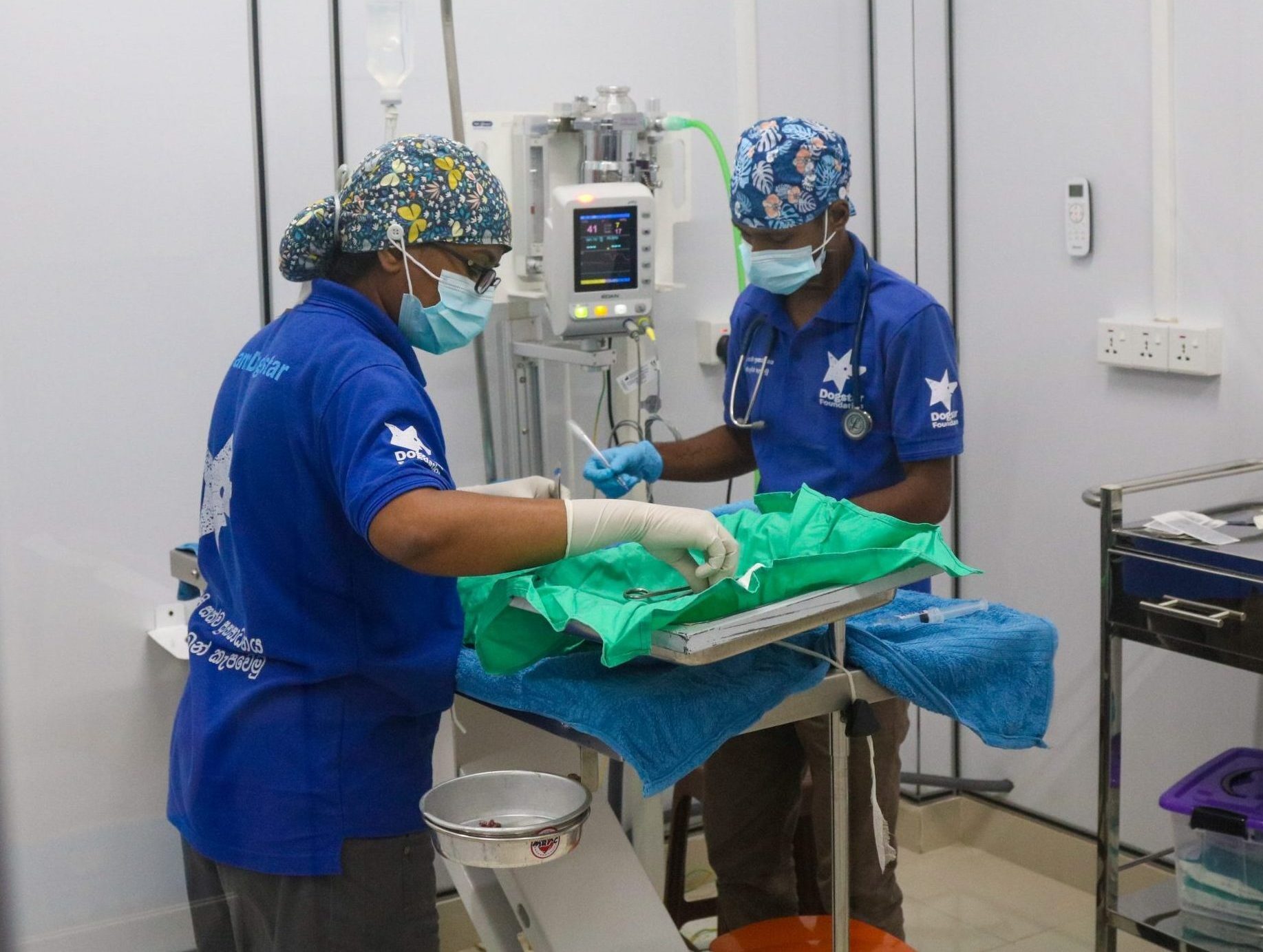 Two Dogstar veterinarians performing a surgical procedure in Dogstar's cat clinic.