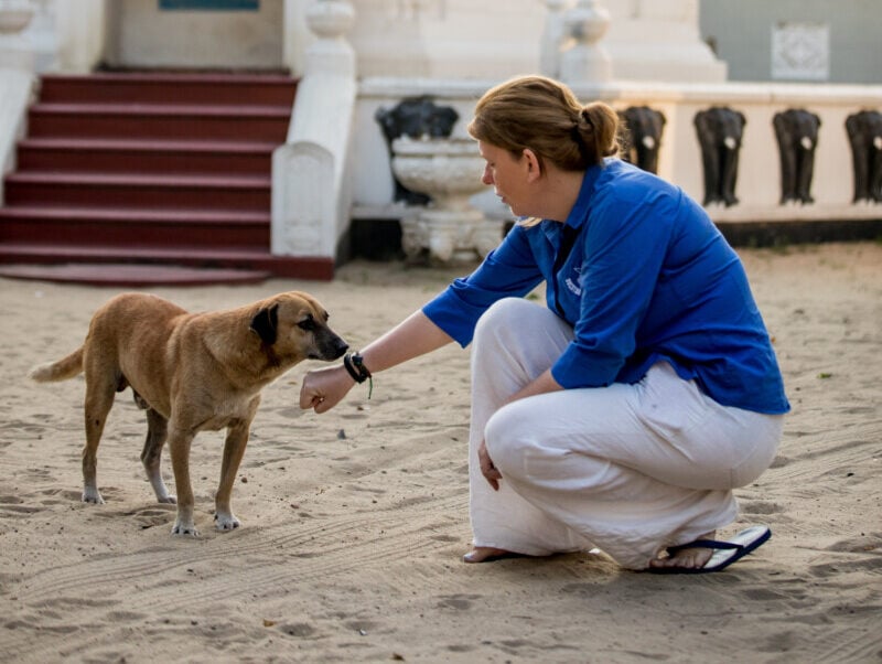 Sam is crouching down extending her right arm towards a dog and letting them sniff her.